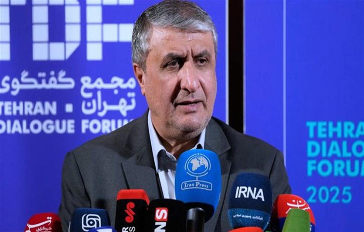 النمسا تلغي تأشيرة رئيس منظمة الطاقة الذرية الإيرانية ضمن إجراءات تشديد العقوبات