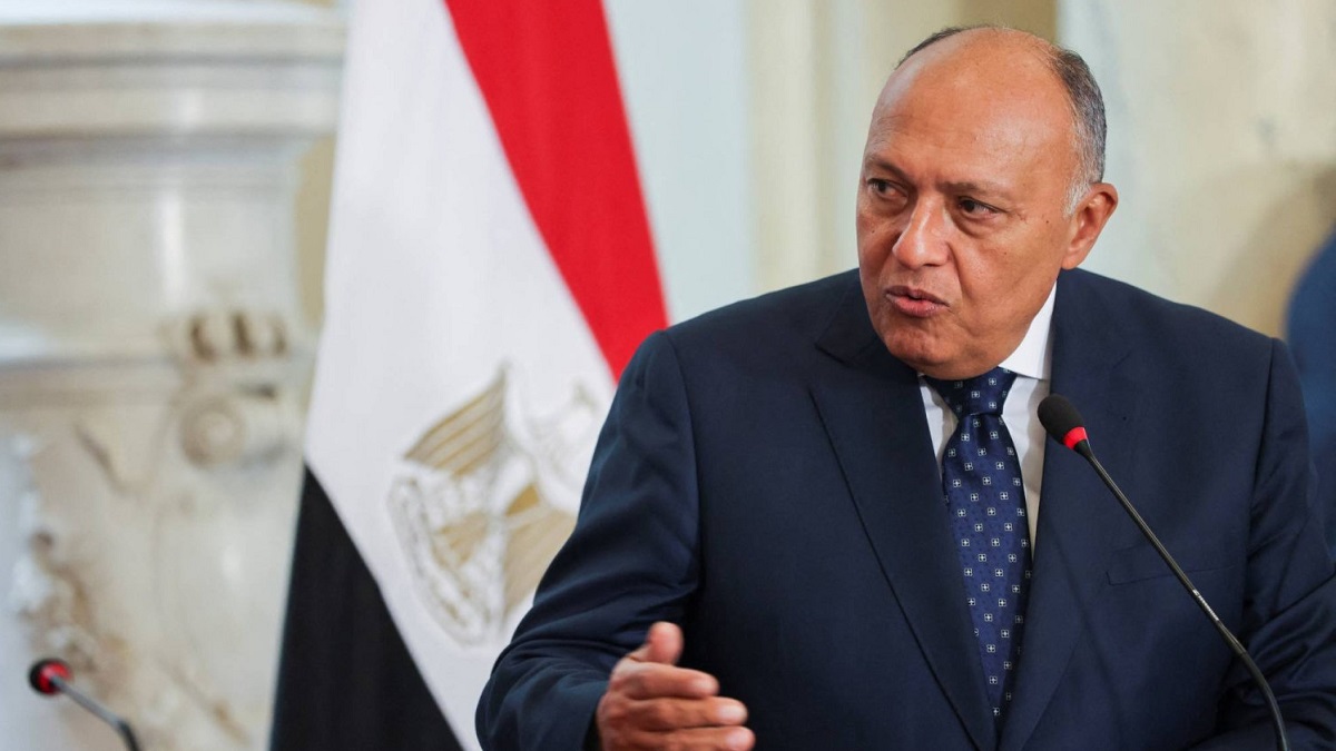 دعم مصر رمزيًا لدعوى جنوب أفريقيا ضد 