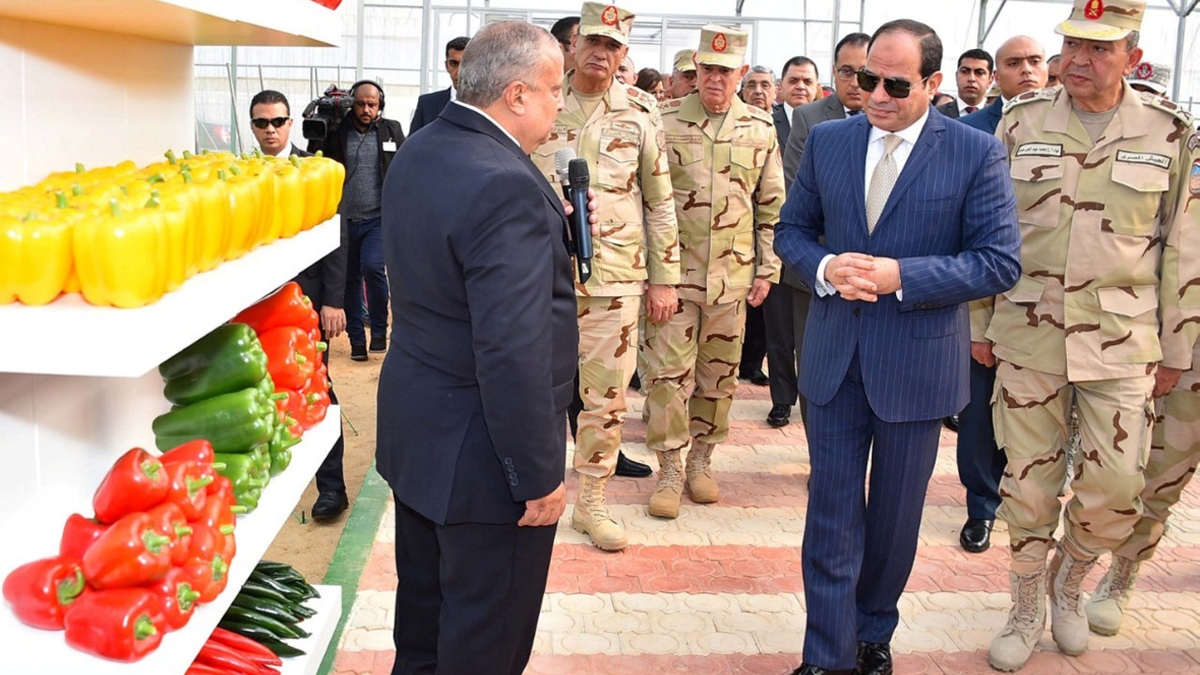 انعكاسات ومآلات تغوّل الجيش المصري وسيطرته على مفاصل الاقتصاد في الدولة